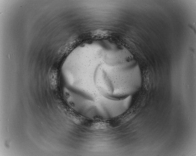 X0000103290708200809122008