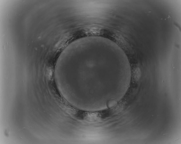 X0000103290709200809122008