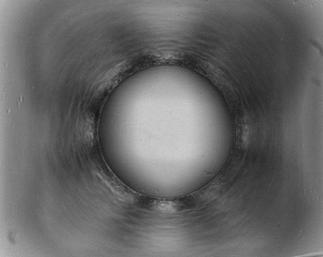 X0000103290710200809122008