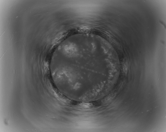 X0000103290711200809122008