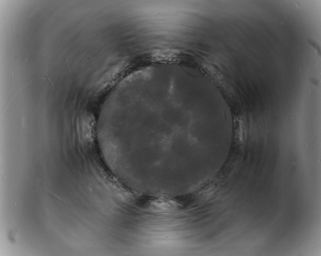 X0000103290712200809122008