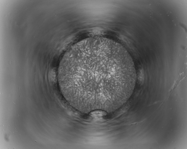 X0000103290715200809122008