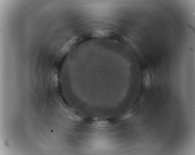 X0000103290716200809122008