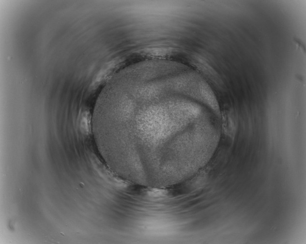 X0000103290718200809122008