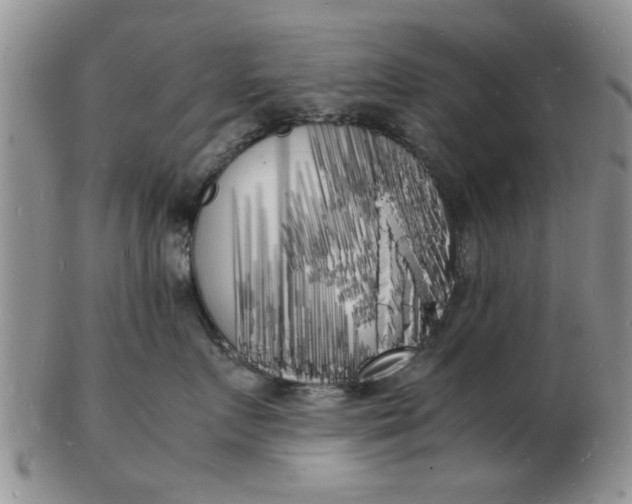 X0000103290719200809122008