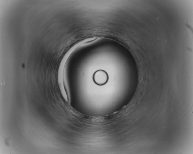 X0000103290720200809122008