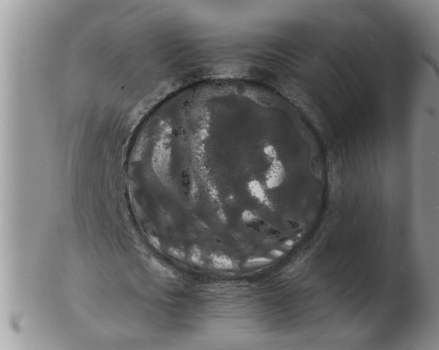 X0000103290721200809122007