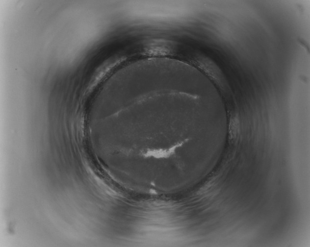 X0000103290722200809122007