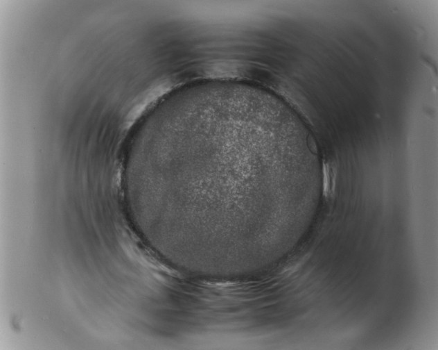 X0000103290723200809122007