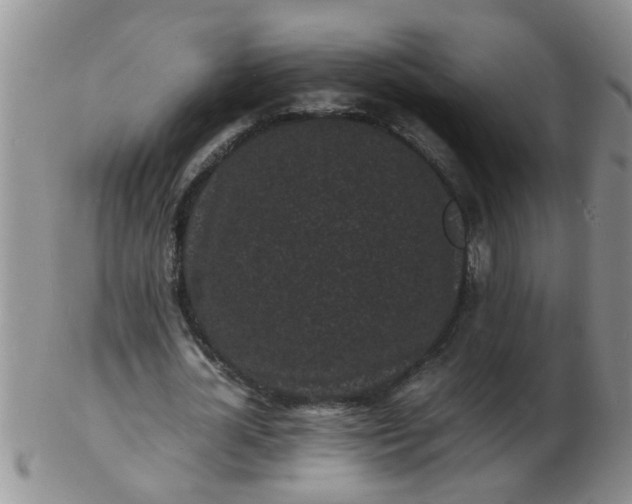 X0000103290724200809122007