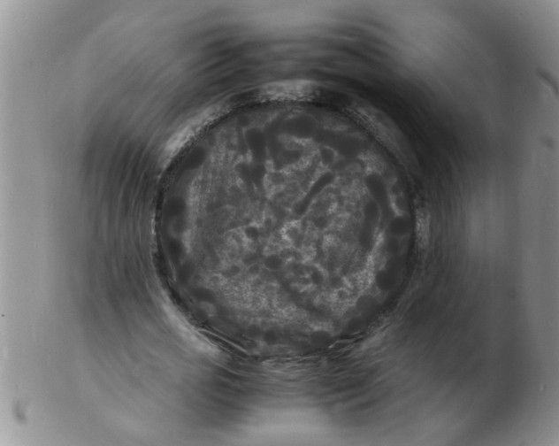 X0000103290725200809122007