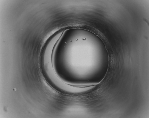 X0000103290726200809122007