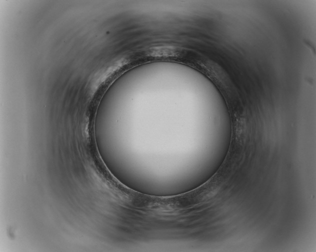 X0000103290727200809122007