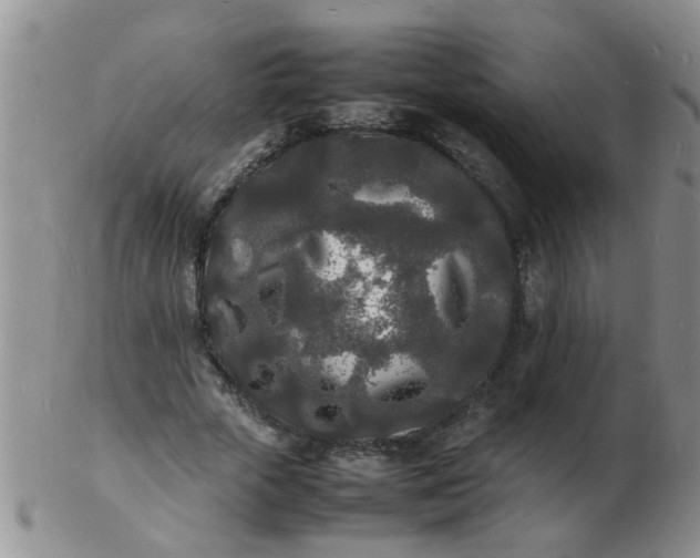 X0000103290729200809122007