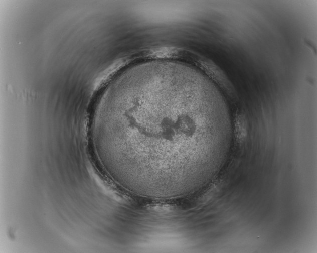 X0000103290730200809122007