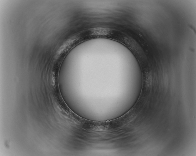 X0000103290731200809122007