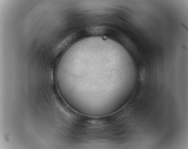 X0000103290733200809122007