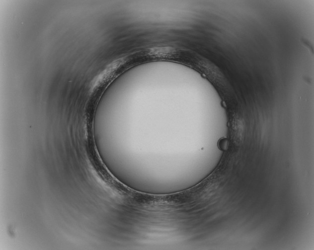 X0000103290734200809122007