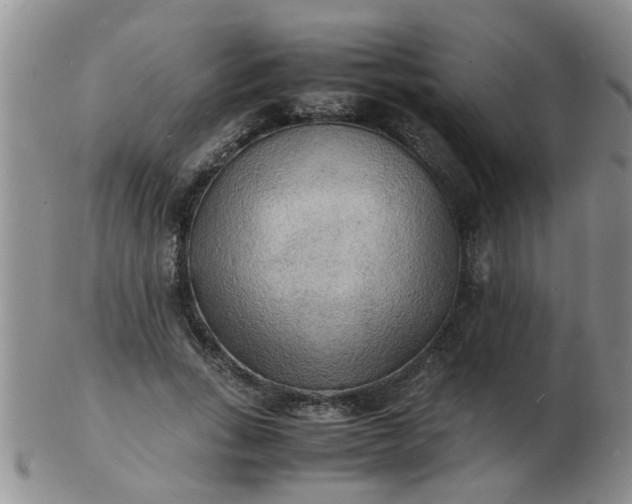 X0000103290735200809122007