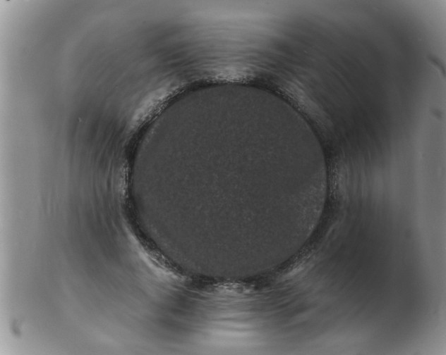 X0000103290736200809122007