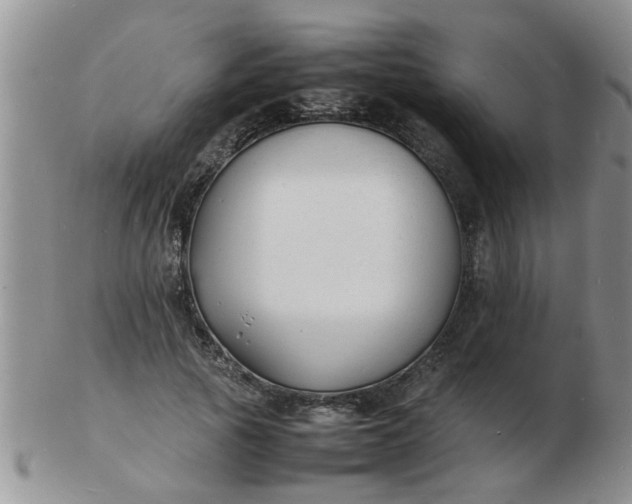 X0000103290737200809122007