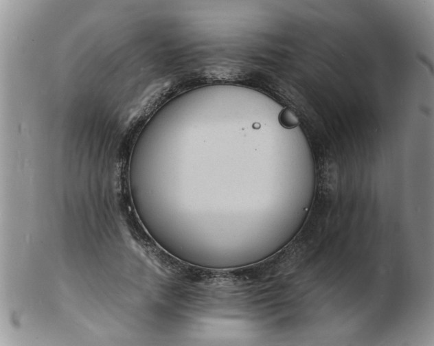 X0000103290738200809122007