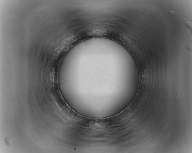 X0000103290739200809122007