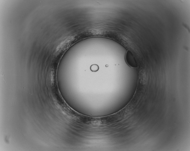 X0000103290740200809122007