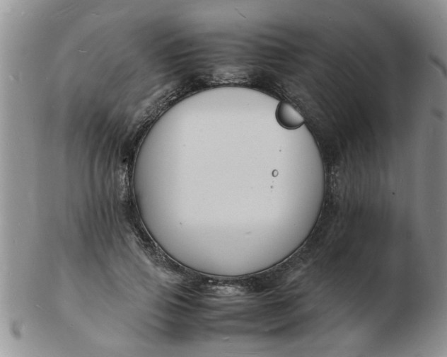 X0000103290741200809122007