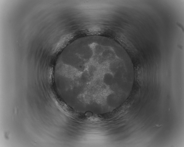 X0000103290742200809122007