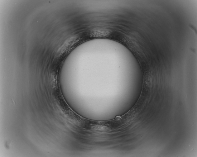 X0000103290743200809122007