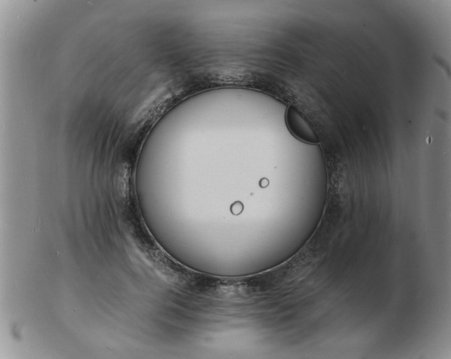 X0000103290744200809122007