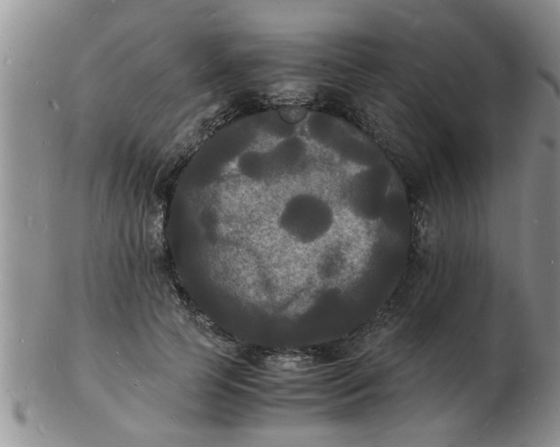 X0000103290745200809122007