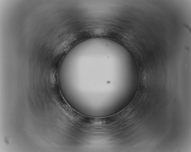 X0000103290746200809122007