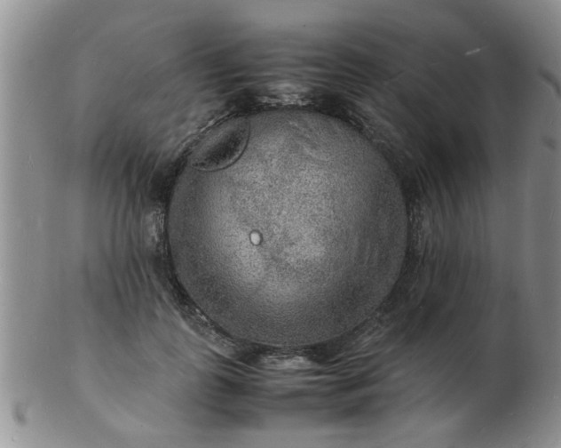 X0000103290747200809122007