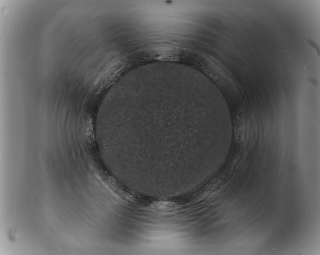 X0000103290748200809122007