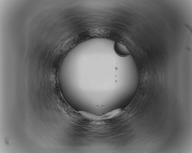 X0000103290749200809122007