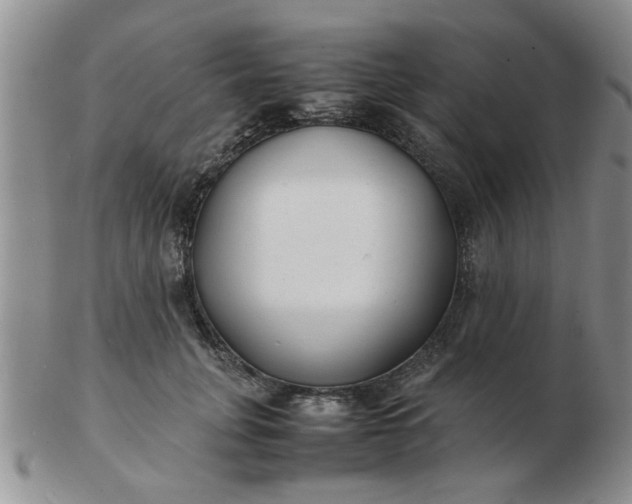 X0000103290751200809122007