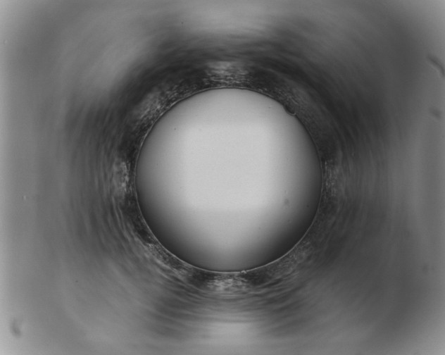 X0000103290752200809122007