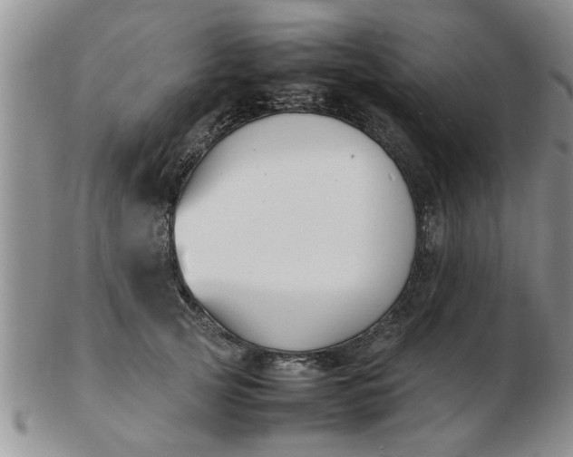 X0000103290753200809122007