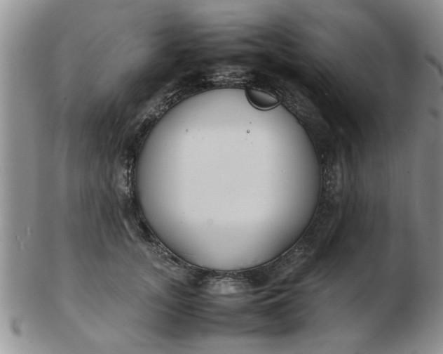 X0000103290755200809122007