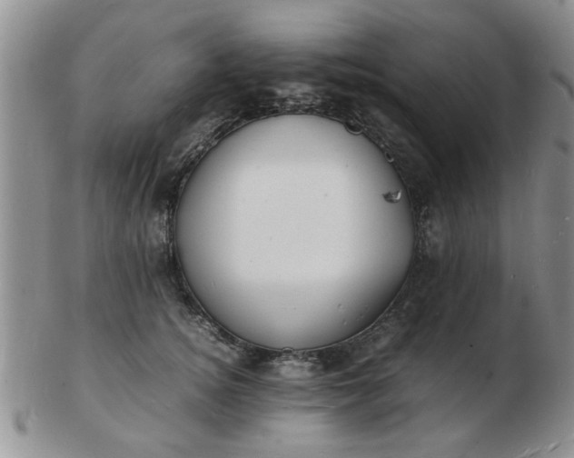 X0000103290756200809122007