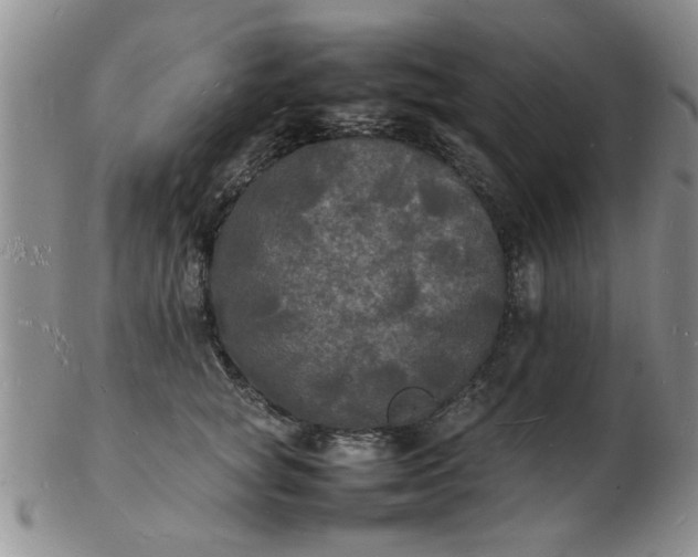 X0000103290757200809122007