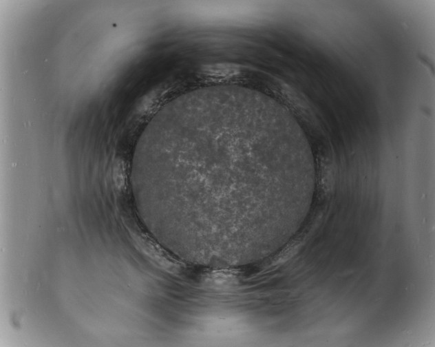 X0000103290758200809122007