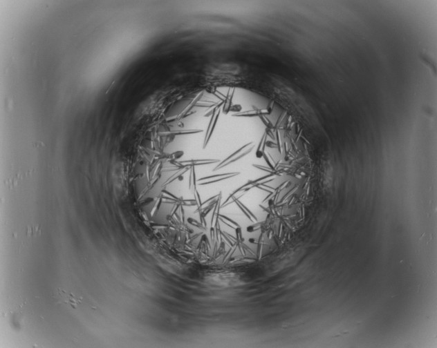 X0000103290759200809122007