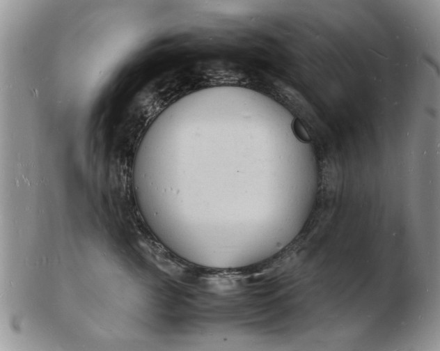 X0000103290761200809122007