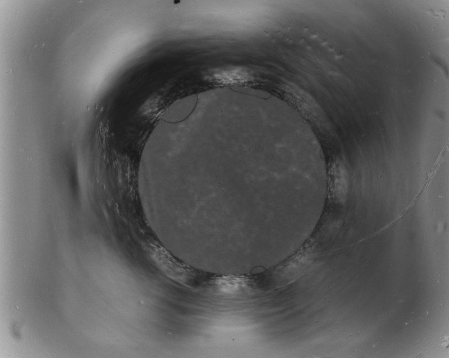 X0000103290762200809122007