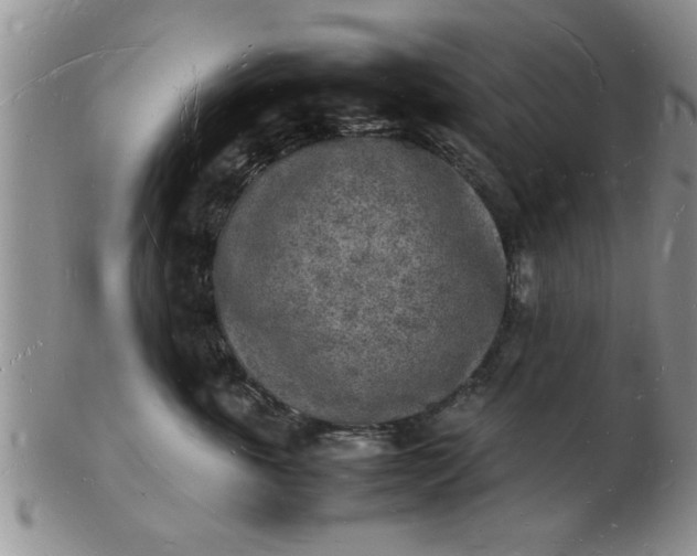 X0000103290763200809122007