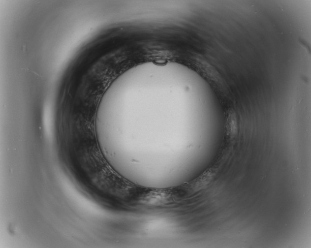 X0000103290764200809122007