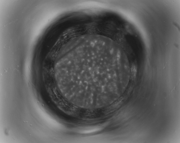 X0000103290765200809122007